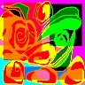 Roses in bloom